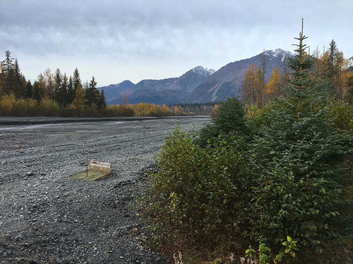 Glacier Creek Cabins Seward Exterior photo