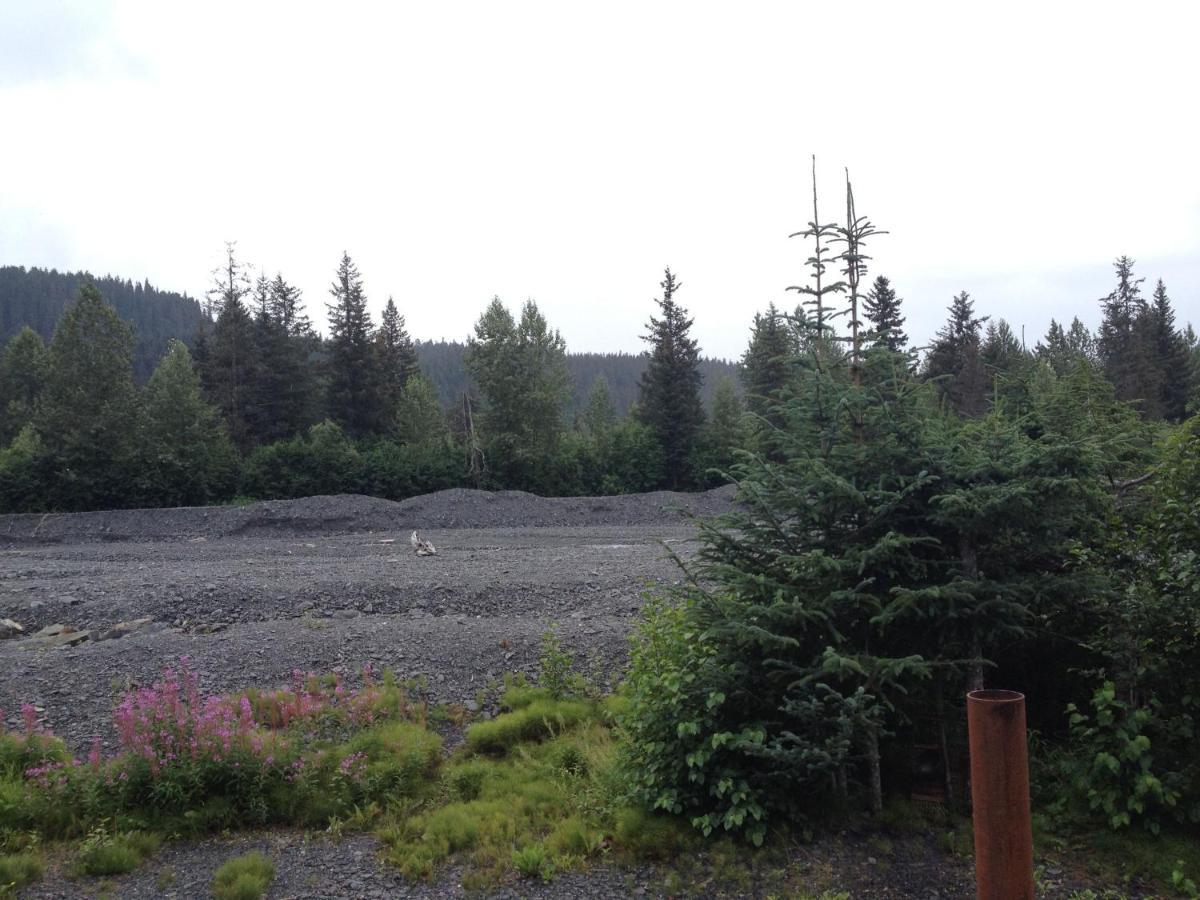 Glacier Creek Cabins Seward Room photo